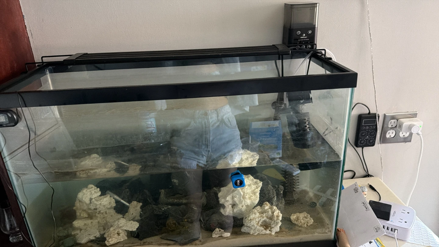 30 Gallon Fish Tank