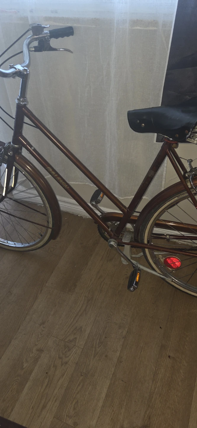 Raleigh Women's Cruiser Bike