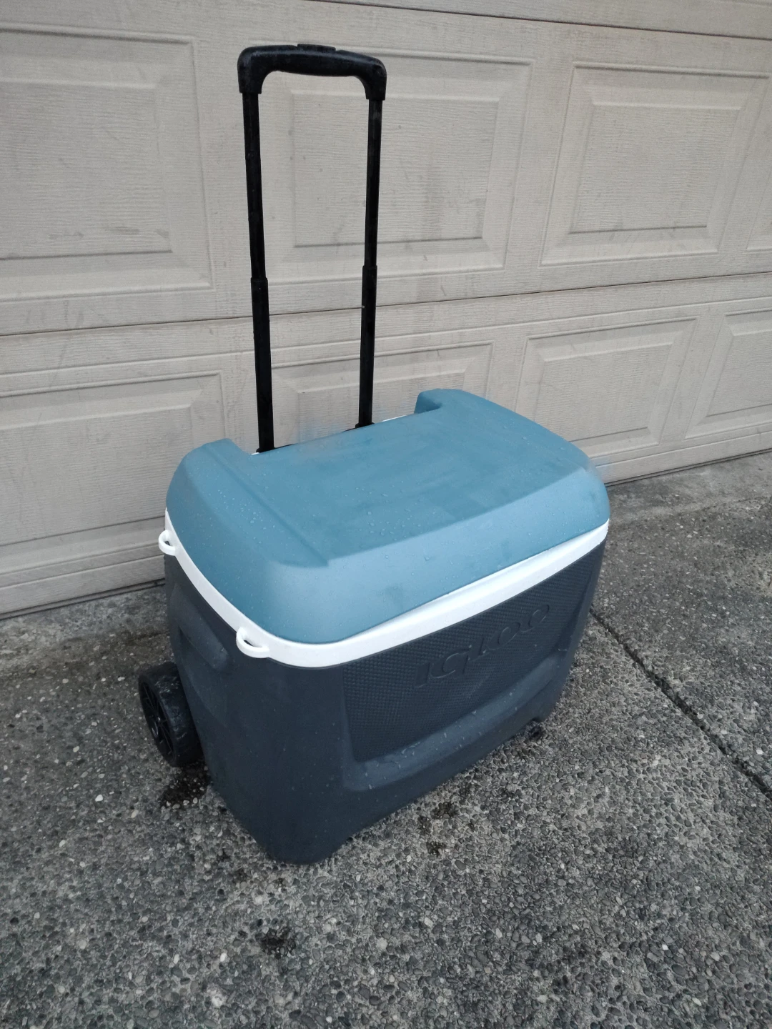 IGLOO 62qt 6 Day Wheeled Cooler with Drain