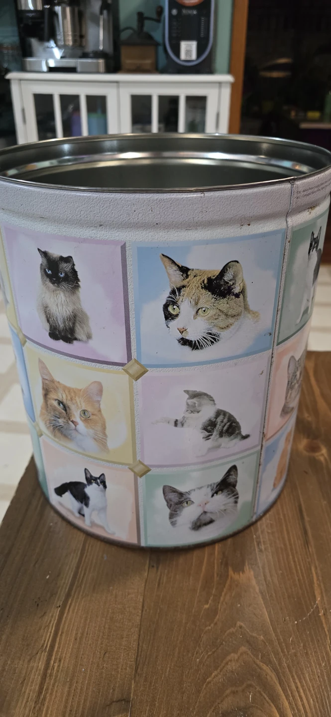 Vintage Cat Print Tin Canister with Lid