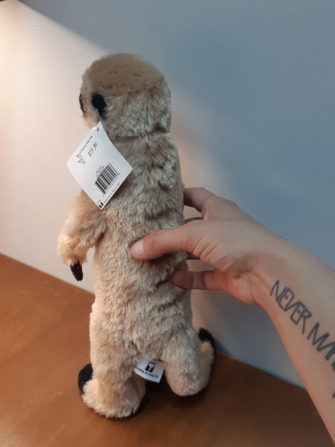 Wild and wonderful Meerkat Plush - photo 2