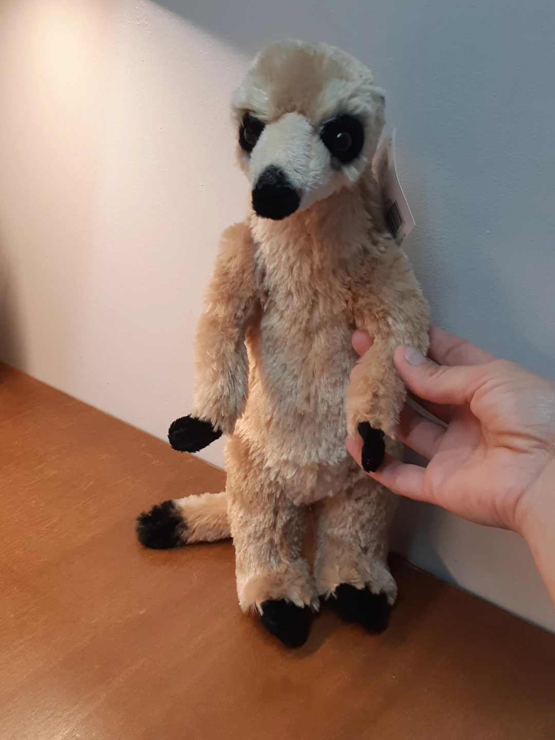 Wild and wonderful Meerkat Plush