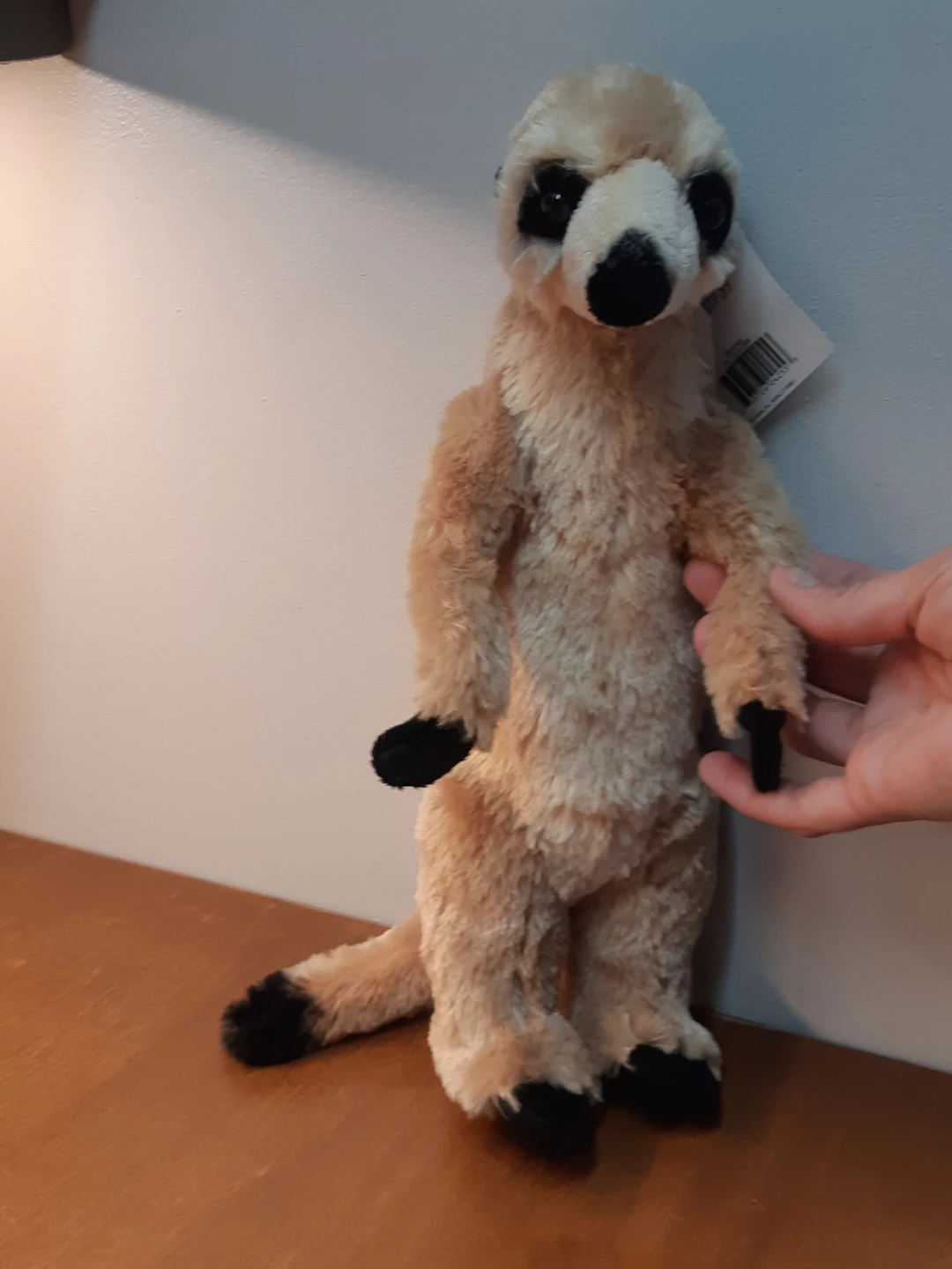 Wild and wonderful Meerkat Plush - photo 3