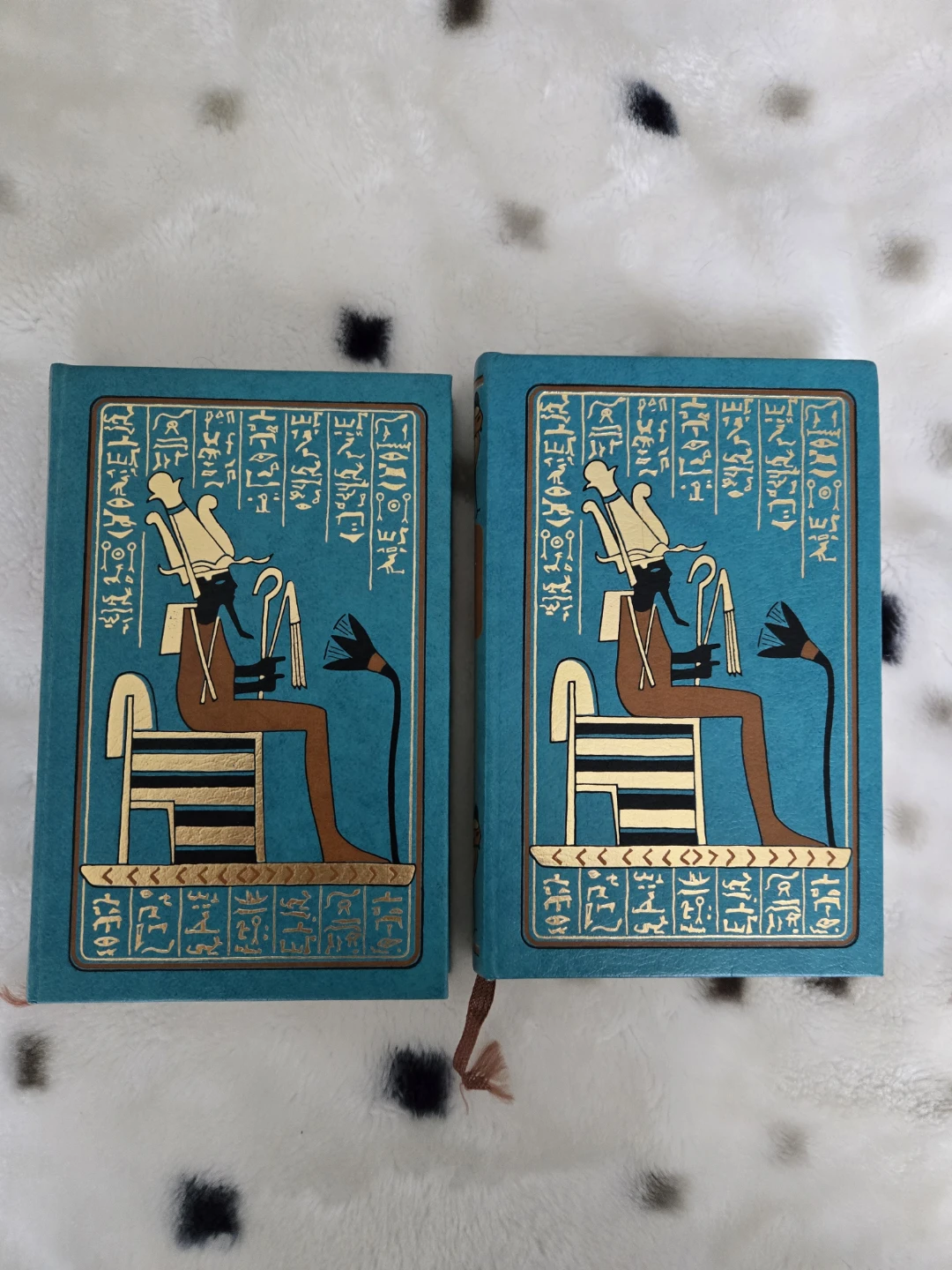 Egyptian History Books