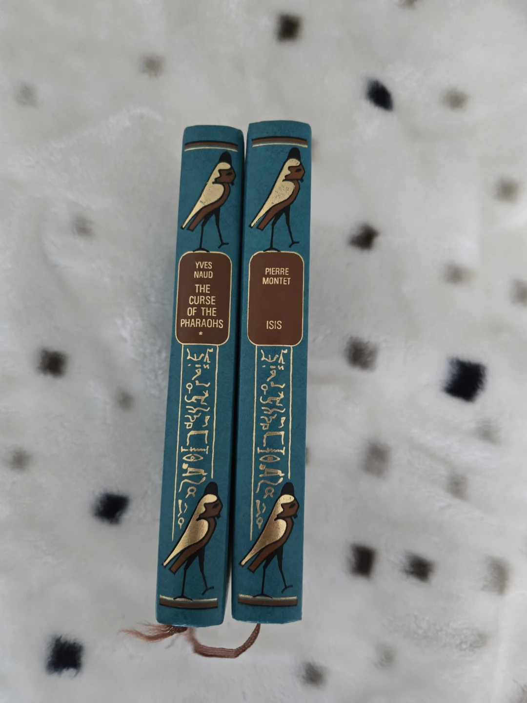 Egyptian History Books - photo 2