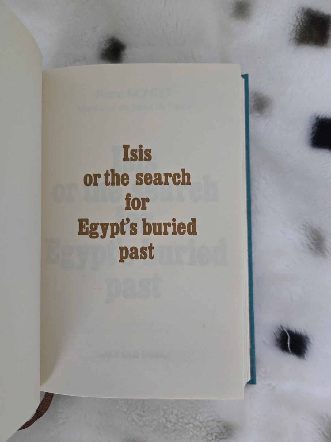 Egyptian History Books - photo 3