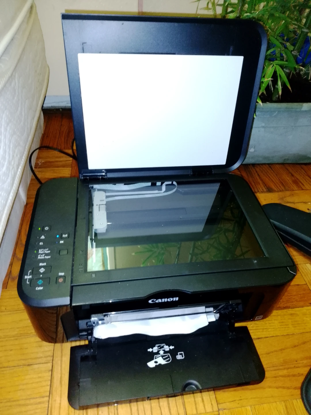 Canon PIXMA All-in-One Printer $50