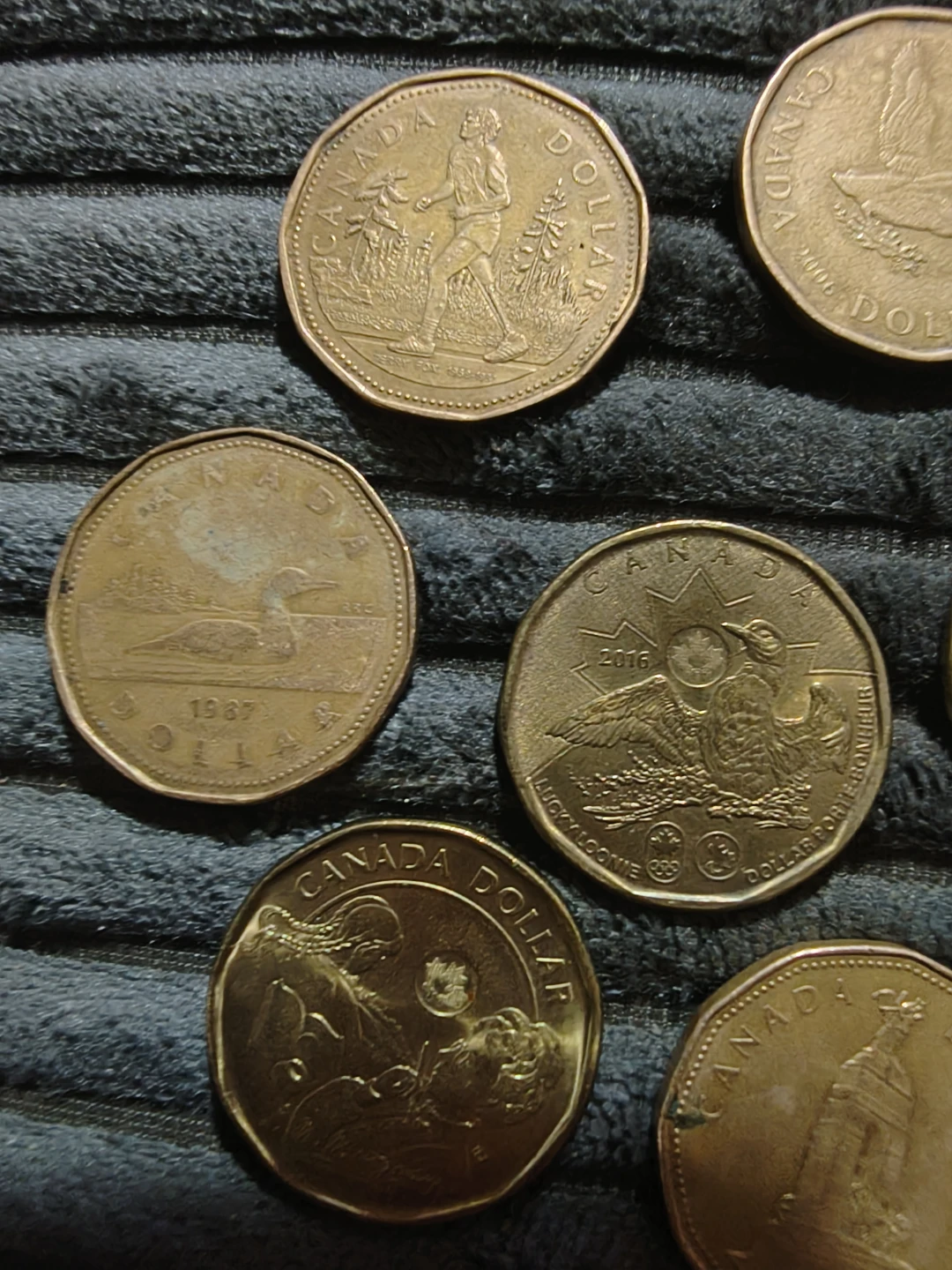 Collection of Canadian Dollar Coins - photo 2