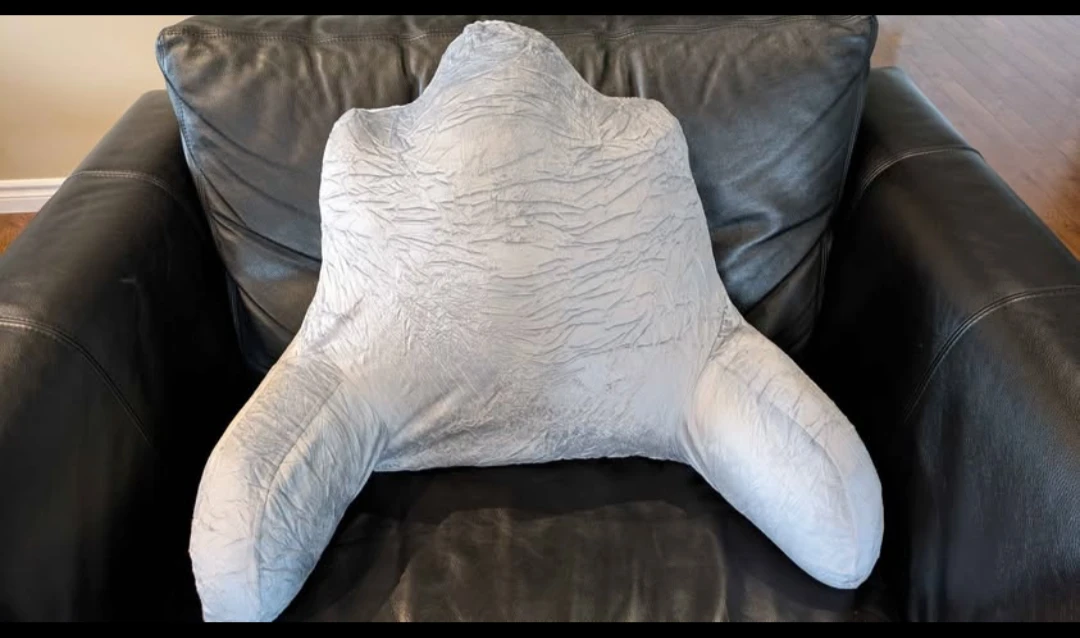 READING PILLOW (Brand New)