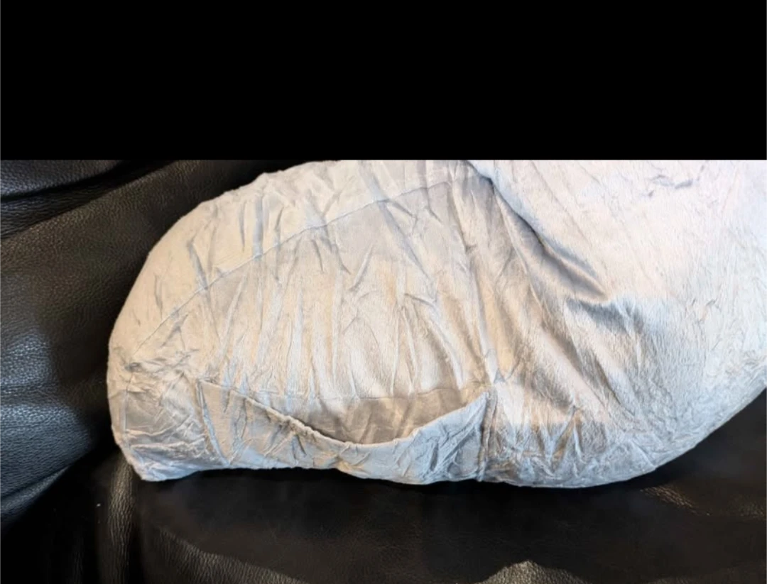 READING PILLOW (Brand New) - photo 5