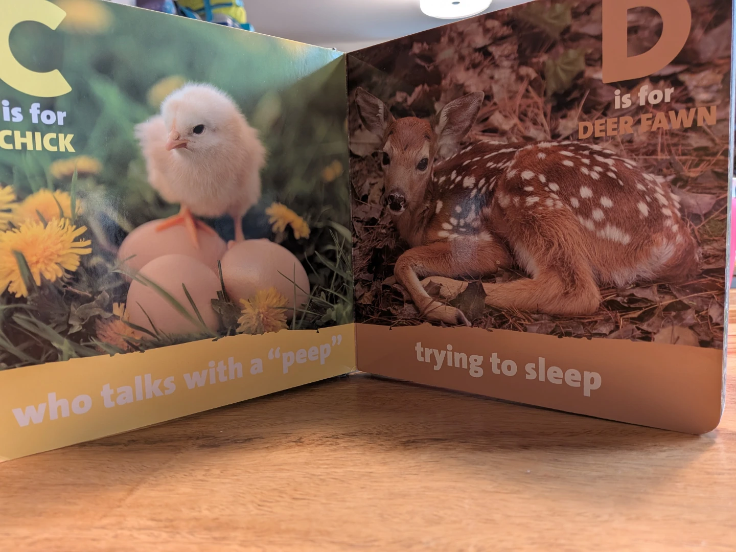 Baby Animals First ABC Book - photo 3
