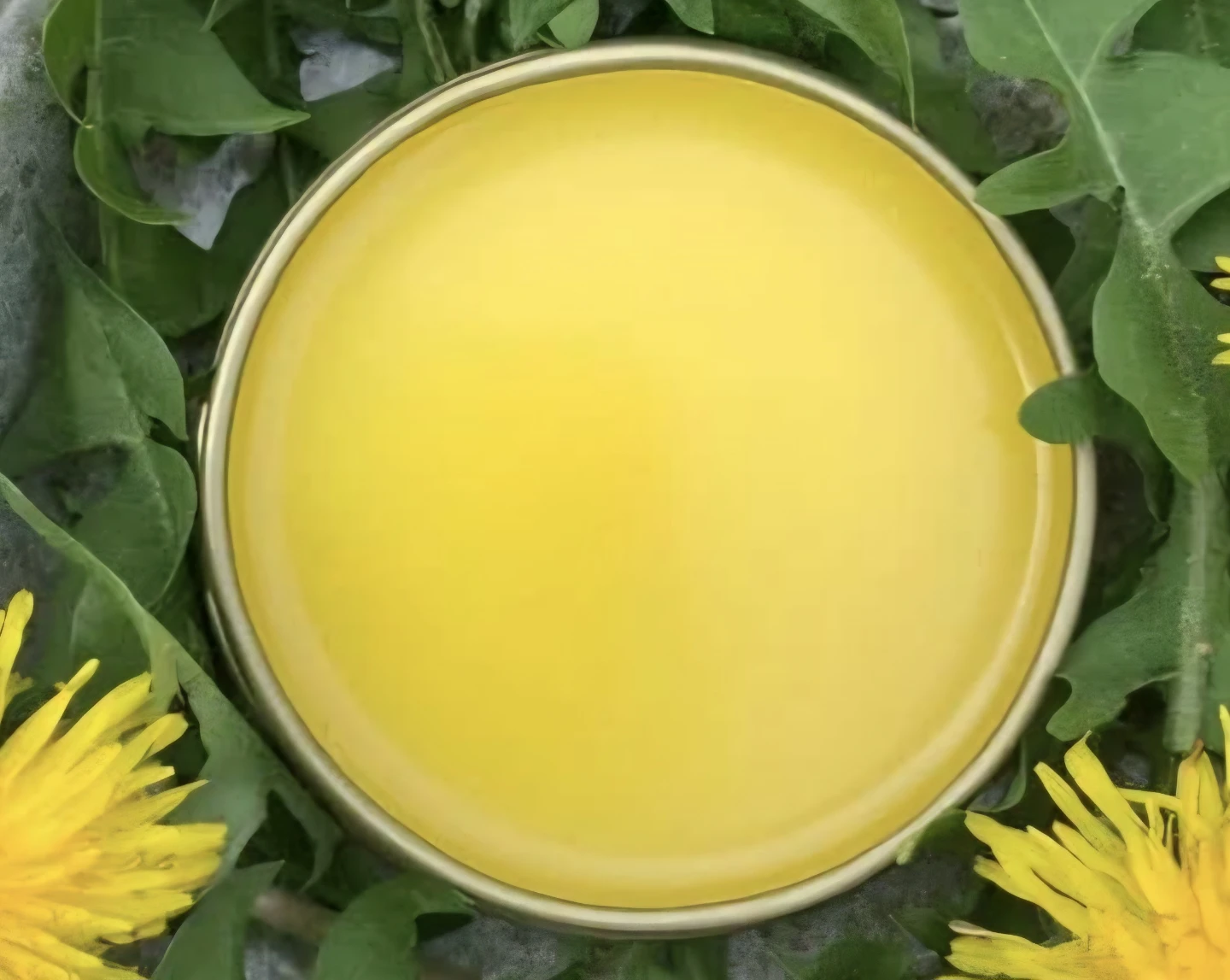Dandelion Salve for Aches and Pain and more - photo 4