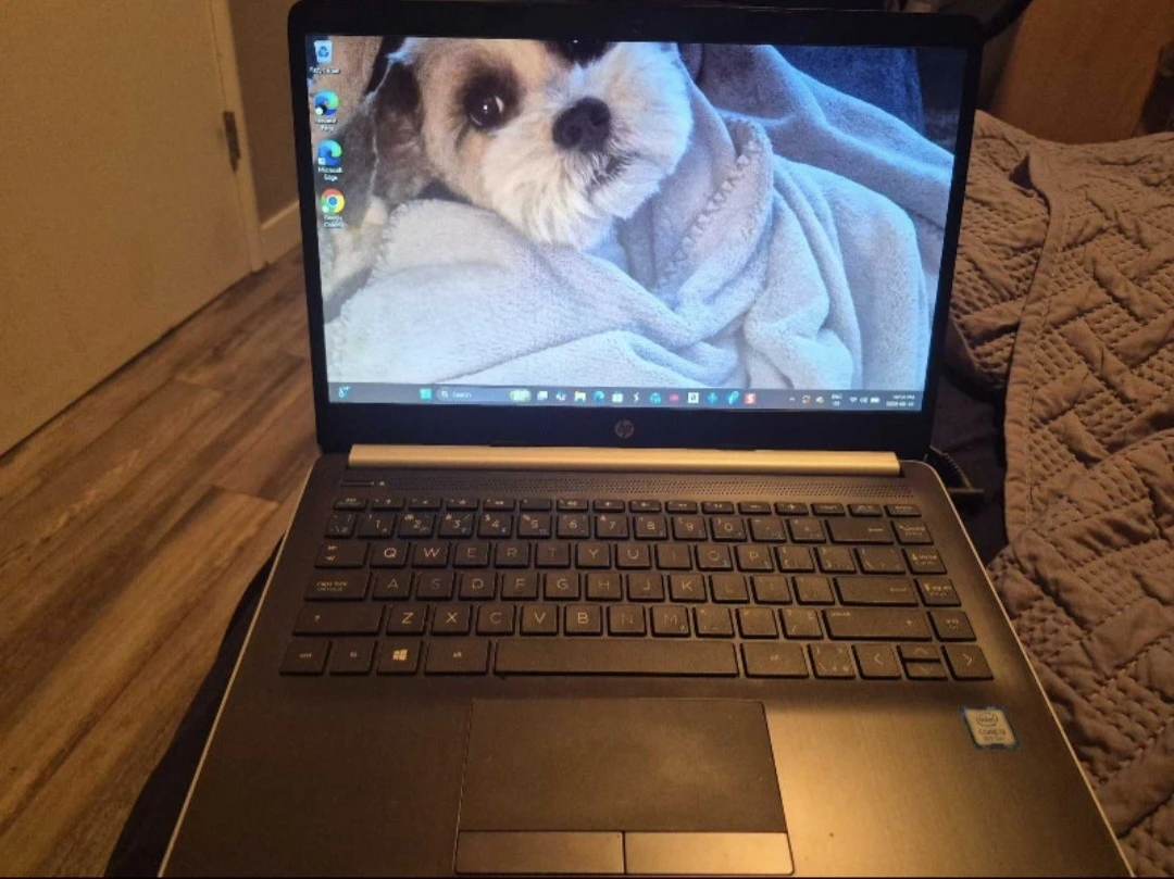 HP LAPTOP - photo 2