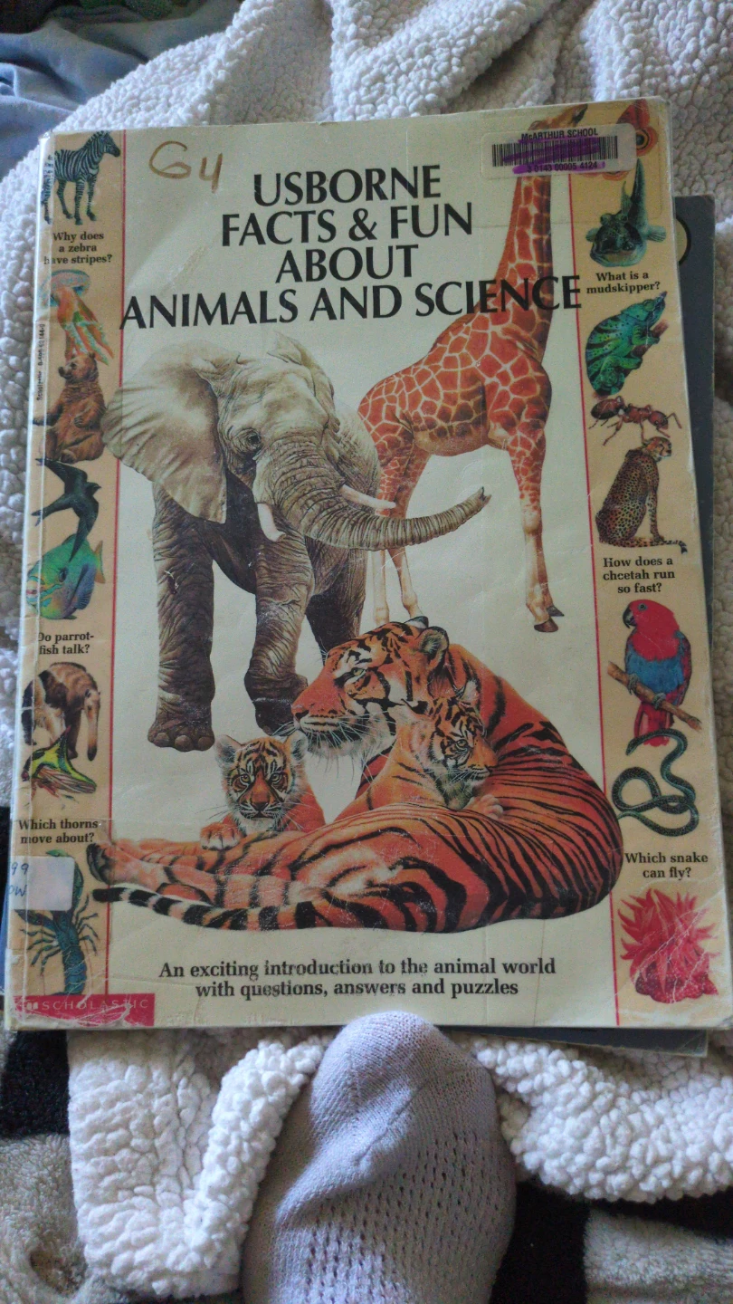 Learning Books for kids - photo 5