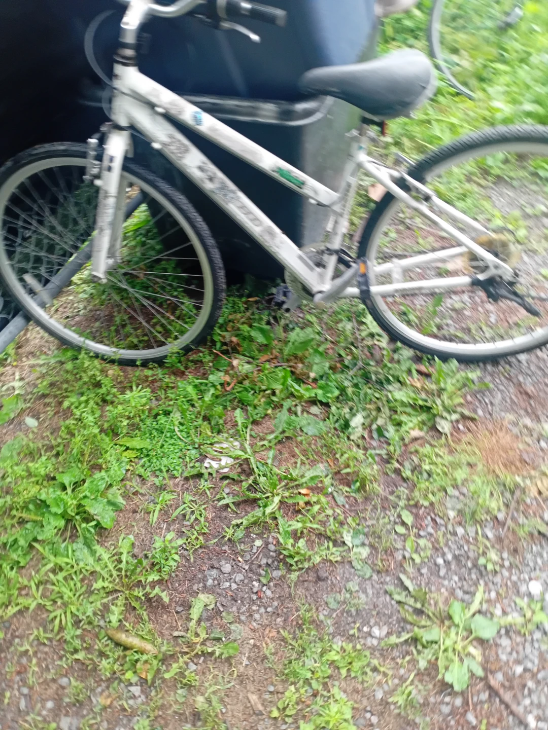 White Bicycle
