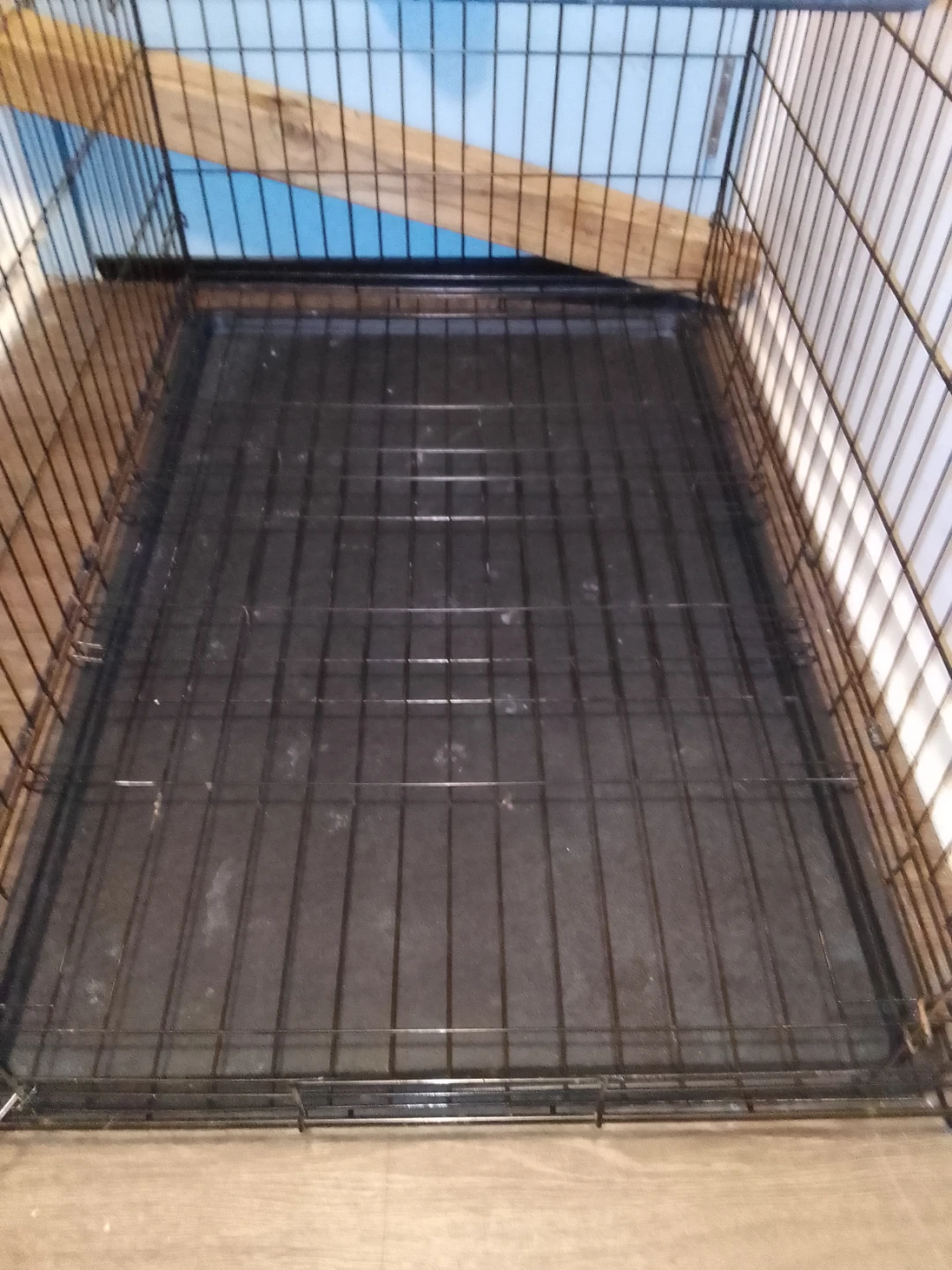 x large Wire Pet Crate