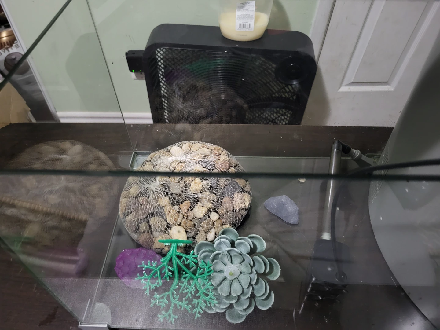 Top Fin Retreat 5-Gallon Aquarium Kit - photo 4