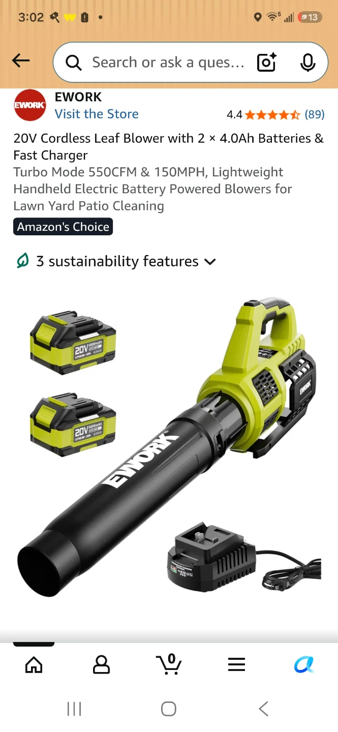 EWORK 20V Cordless Leaf Blower Kit with 2 Batteries