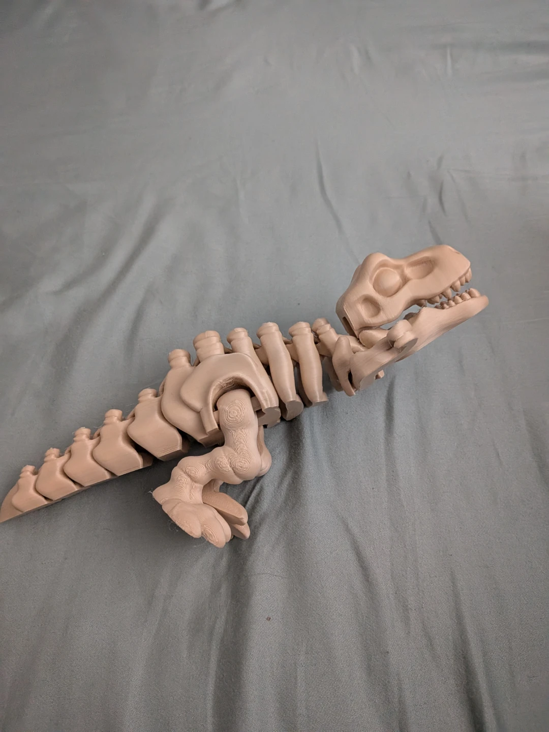 3d printed Dinosaur Skeleton Flexi - photo 4