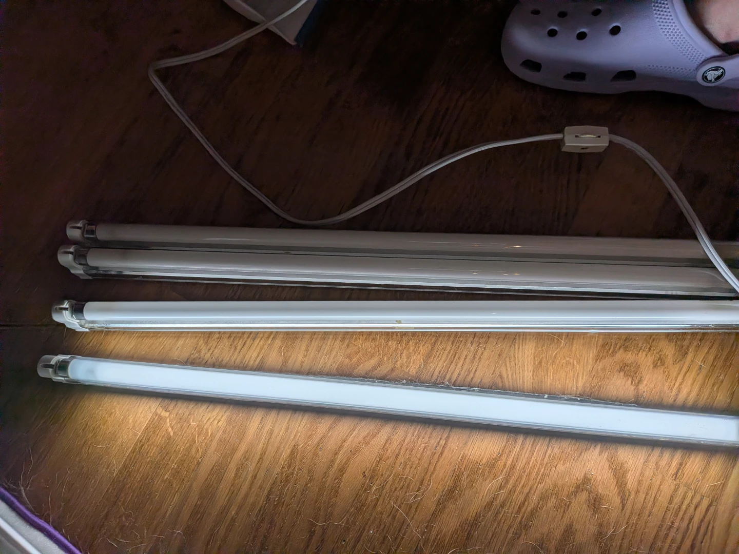 Portable cabinet light