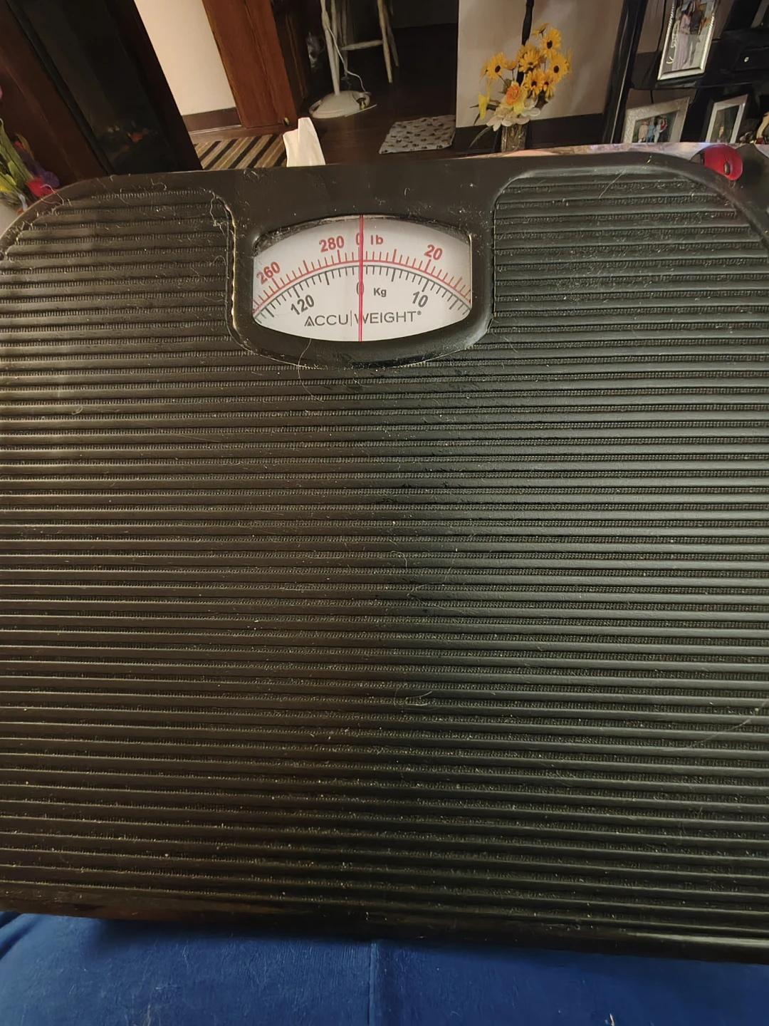 Bathroom scale