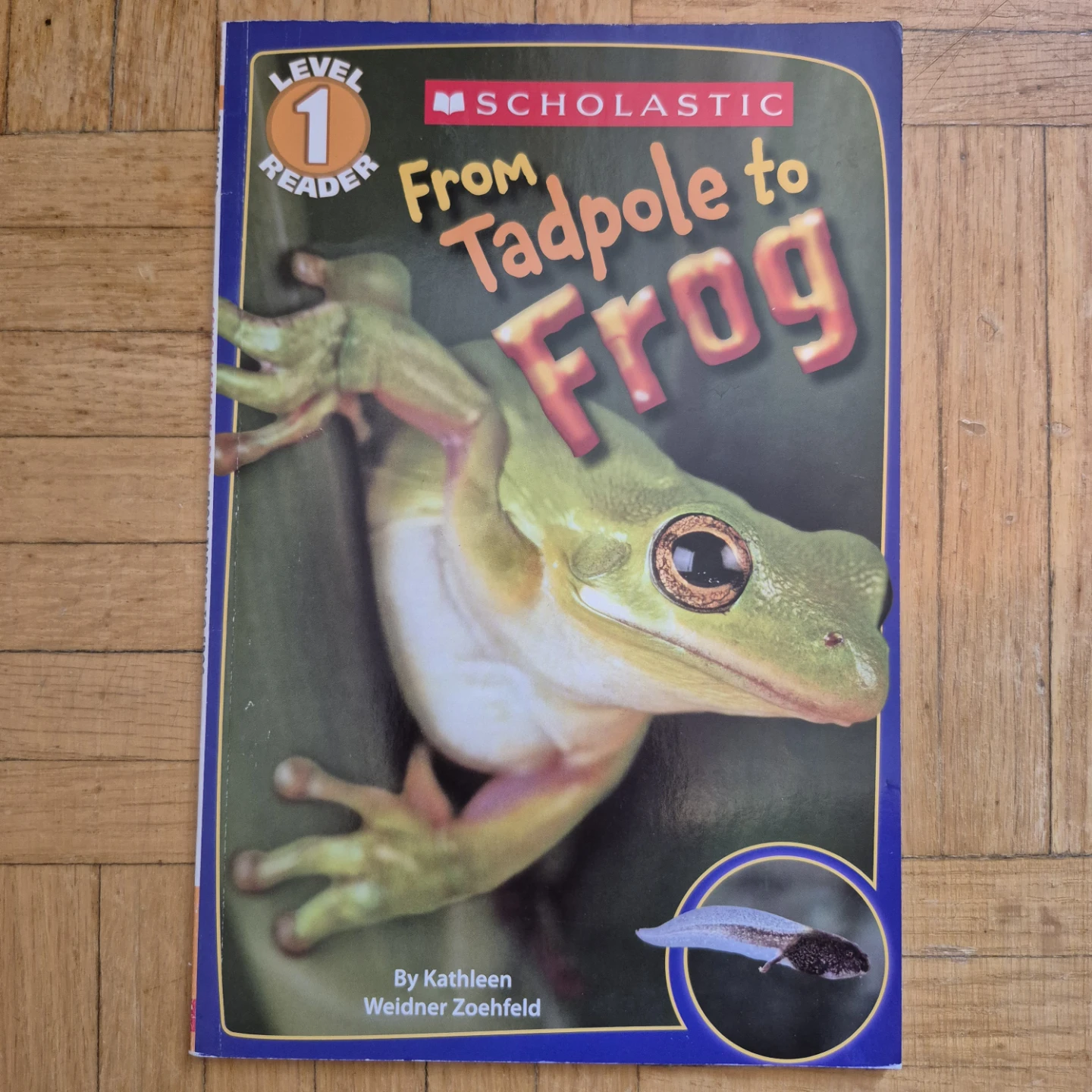 Set of 7 books about Life Cycles and Living Things with supplies - photo 3
