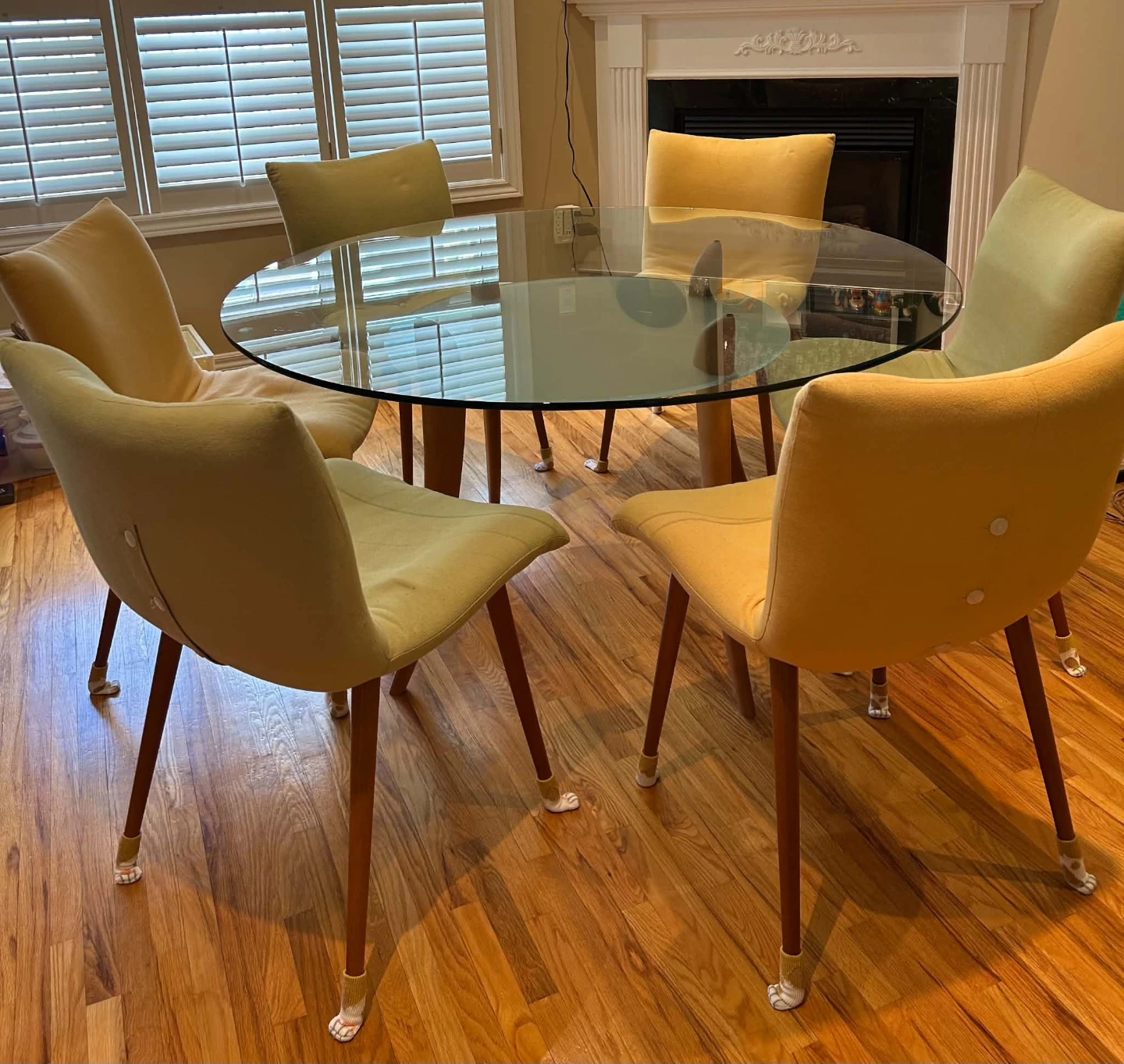 Glass Dining Table