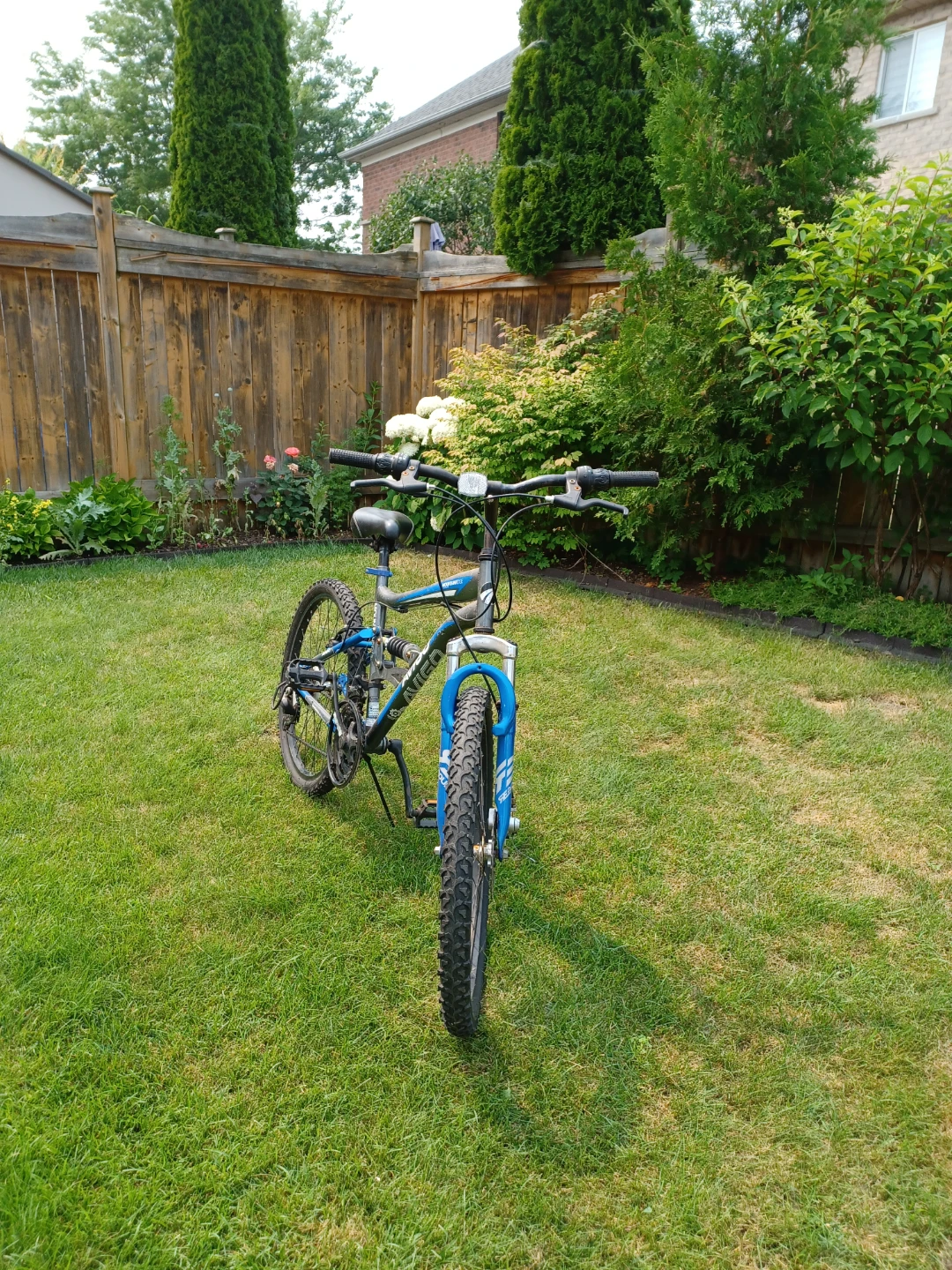 Mountain Bike - photo 3