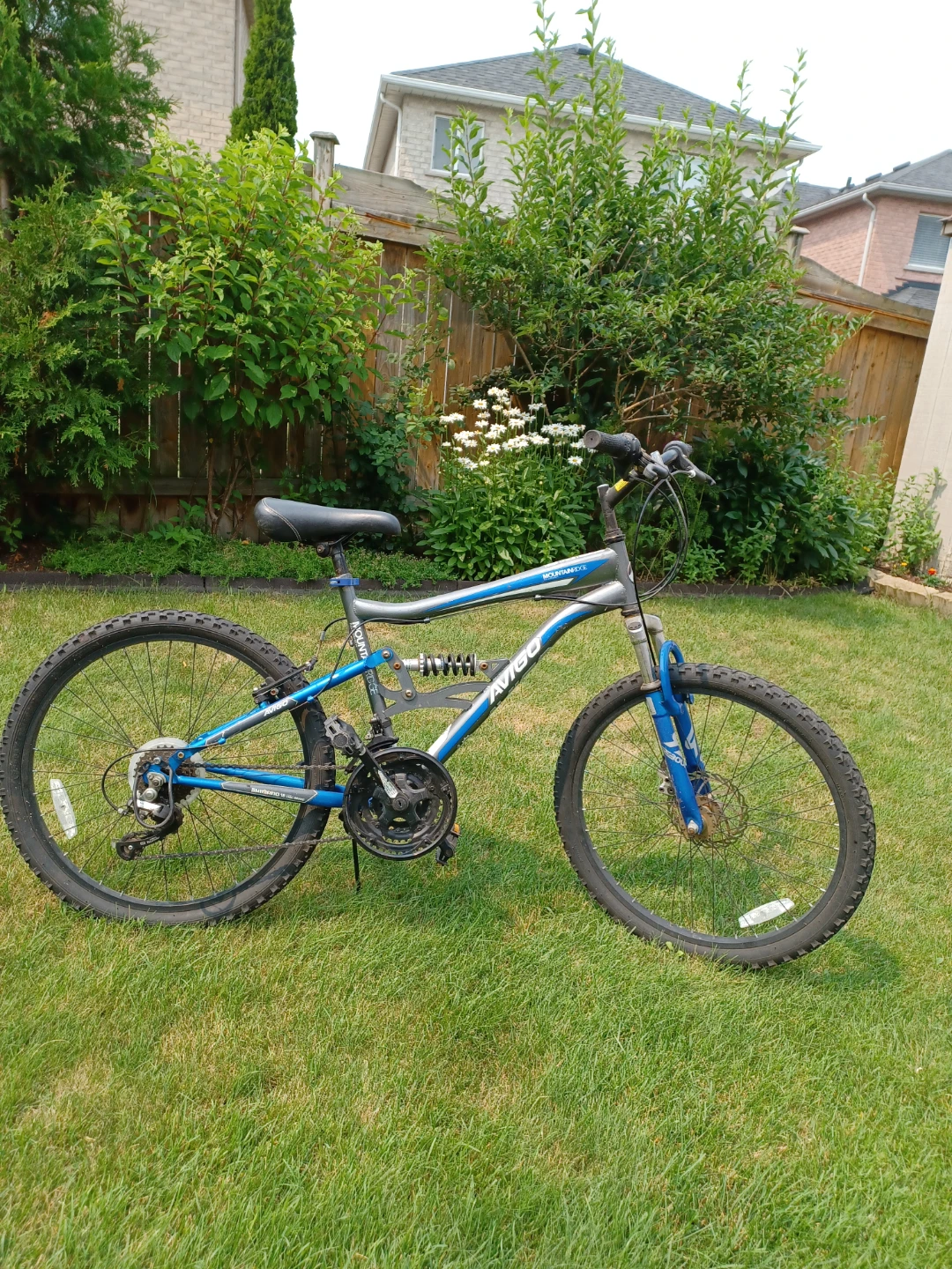 Mountain Bike - photo 4