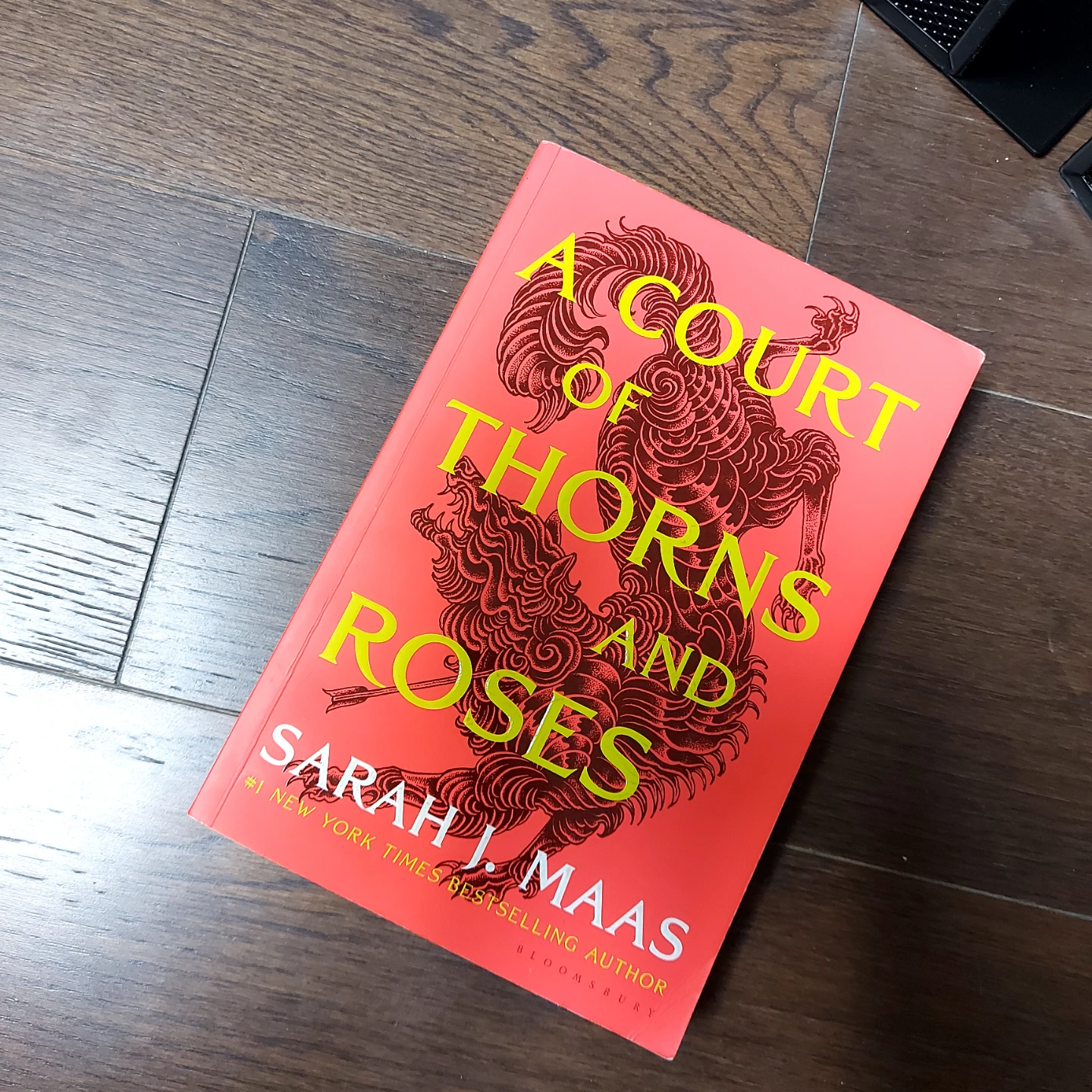 A Court of Thorns and Roses by Sarah J. Maas