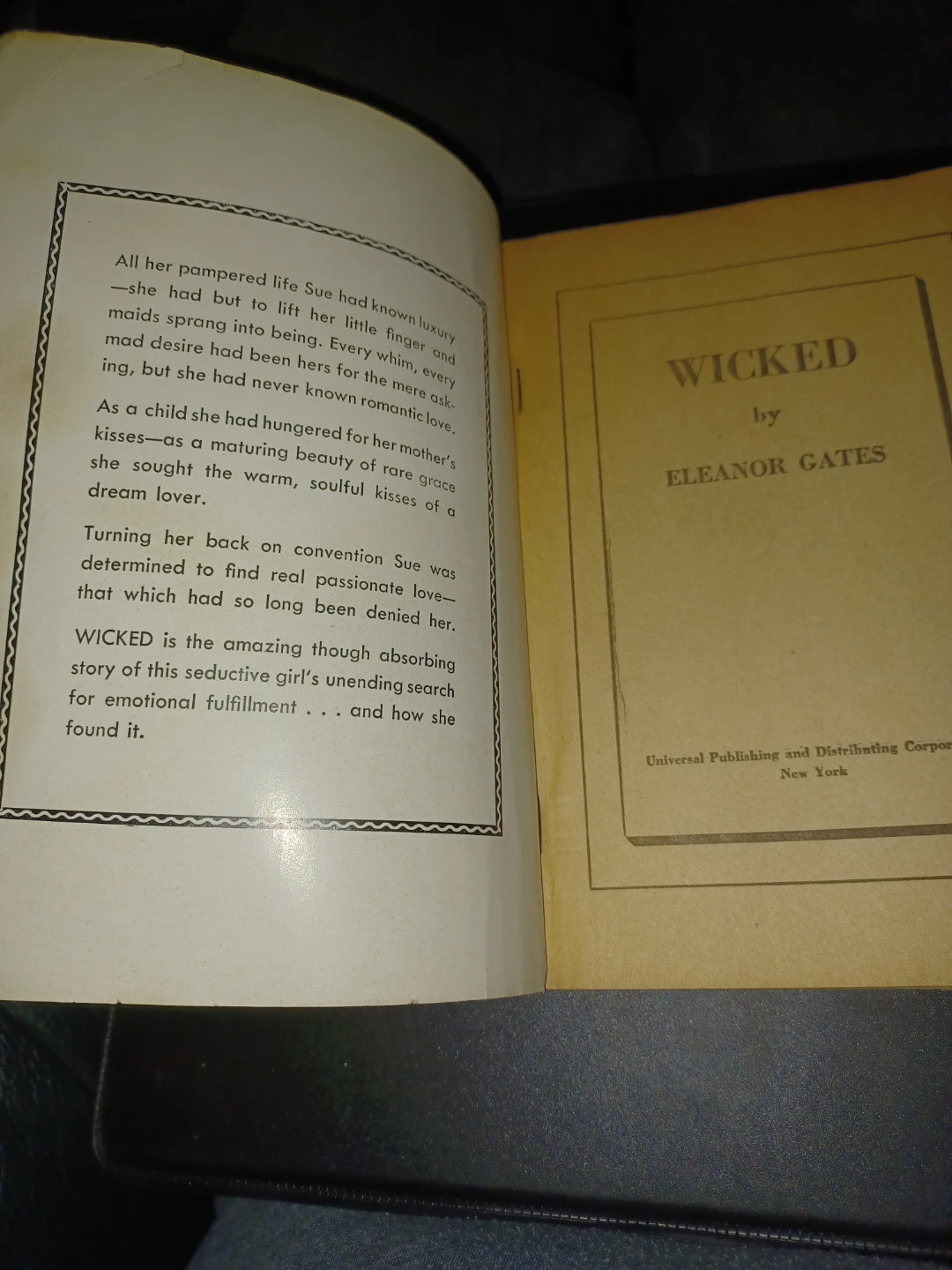 Unfaithful Wives & Wicked Vintage Pulp Novels - photo 3