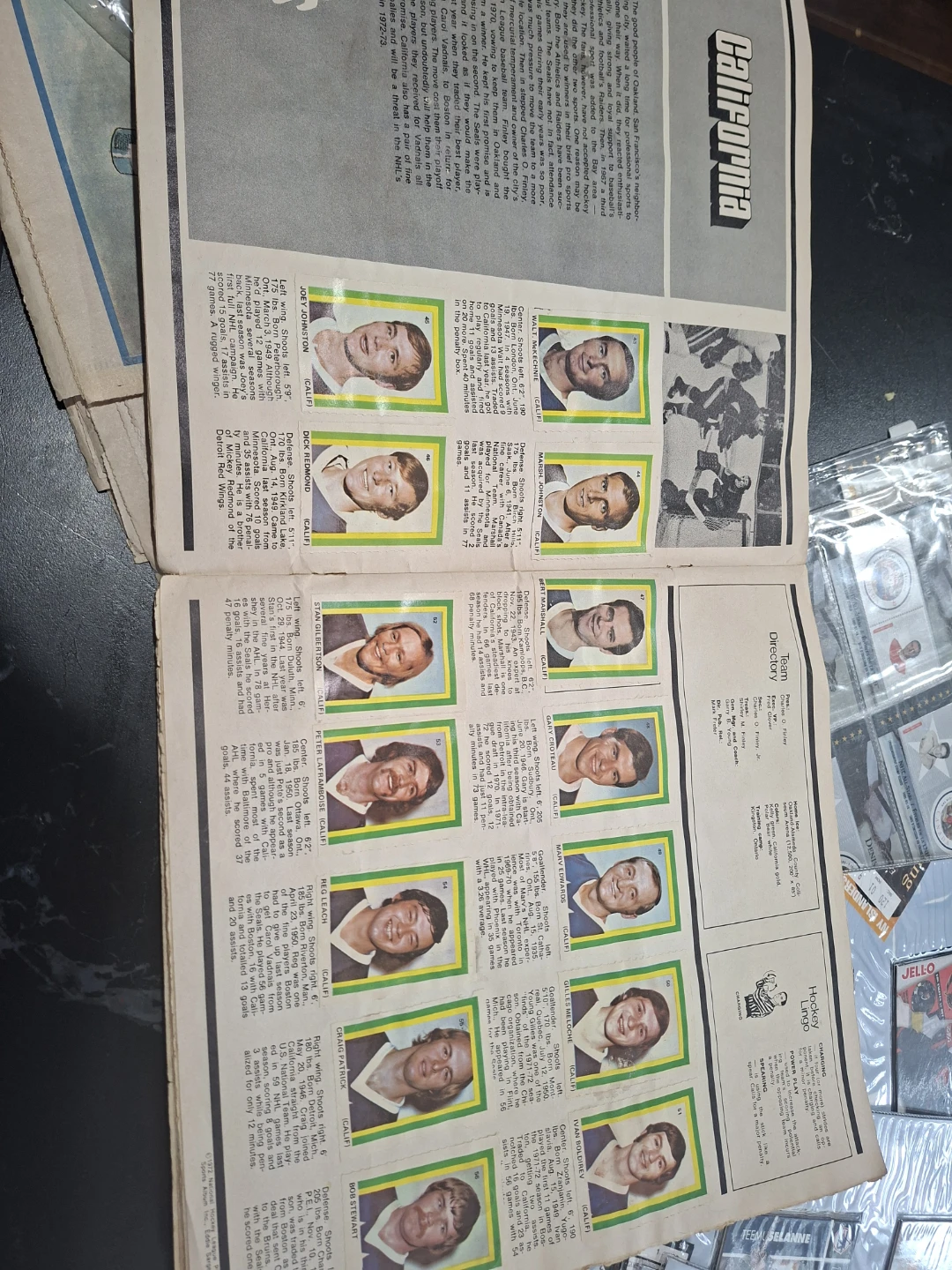 This is the 1973 NHL Players Photo Stamp Album - photo 2