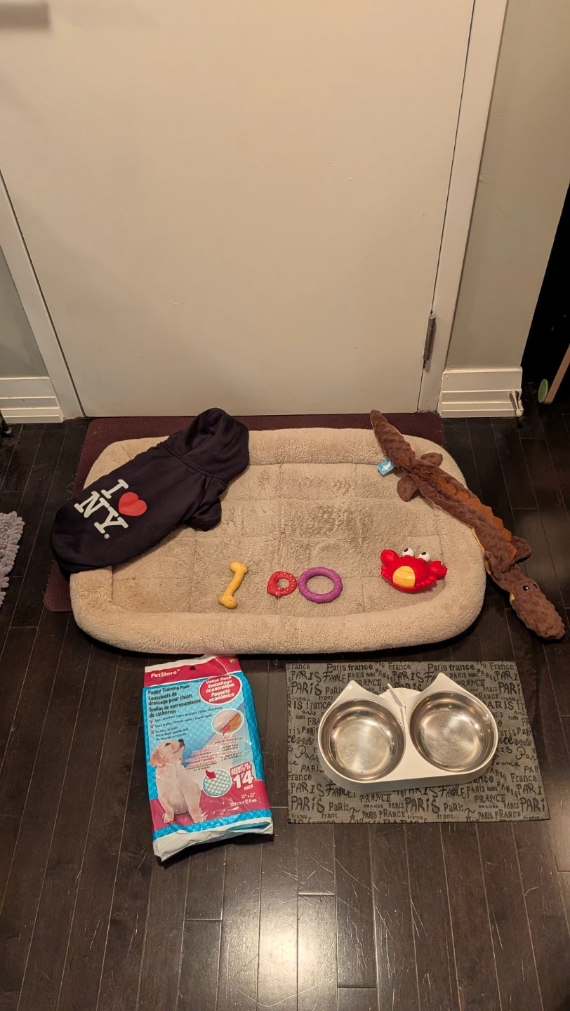 Assorted Dog Bed, Bowls, Pads, Coat & Toys Bundle