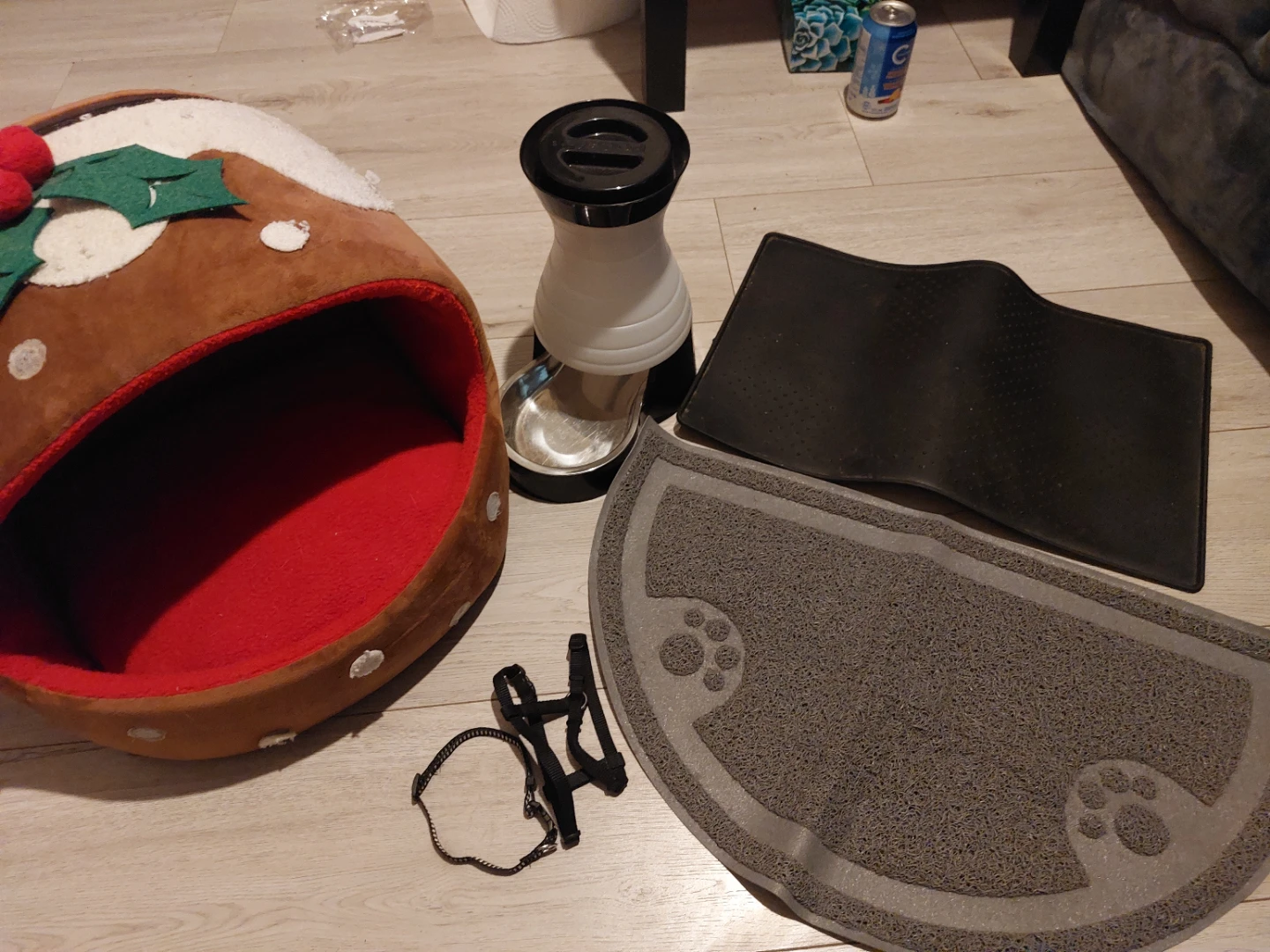Pet Bed, Food/Water Dispenser, Harness & Collar Set