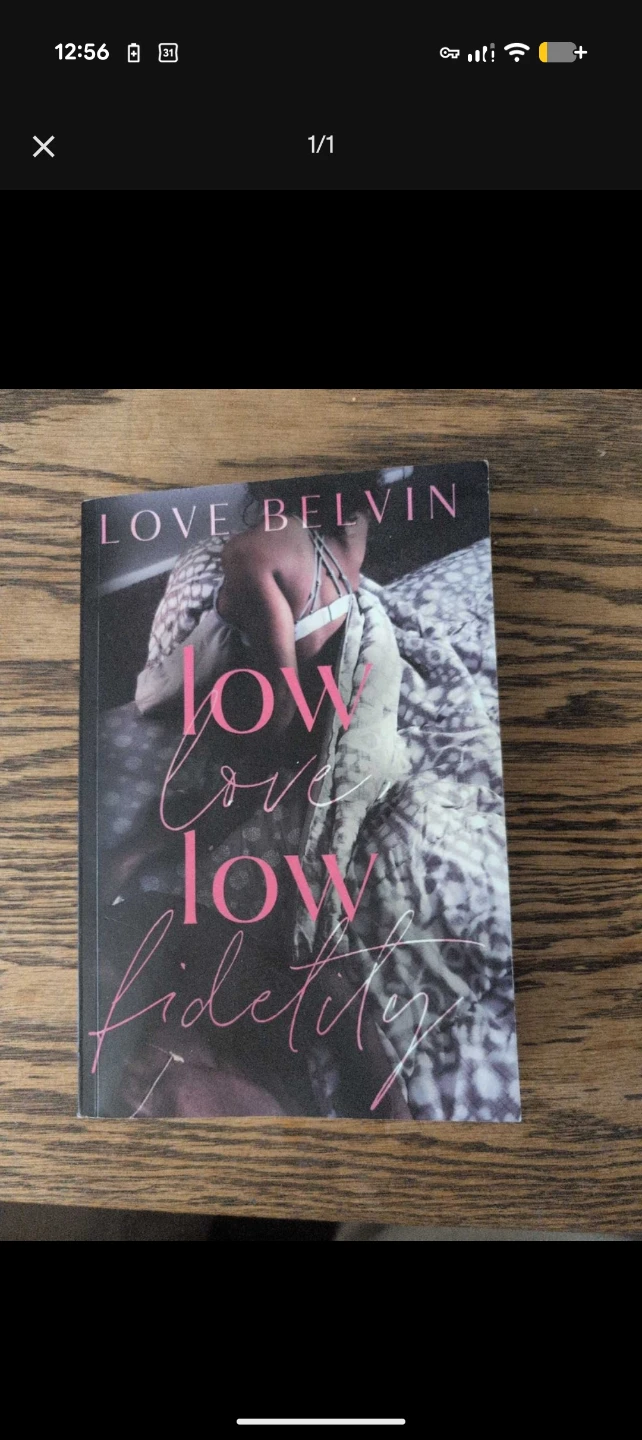 Low Fidelity by Love Belvin Book