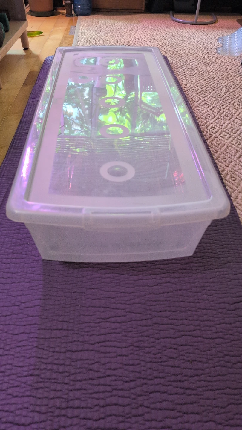 KIS OMNI BOX 50 L / 52 QT Storage Container