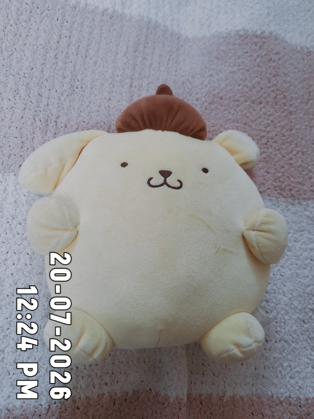 Pompompurin Plushie