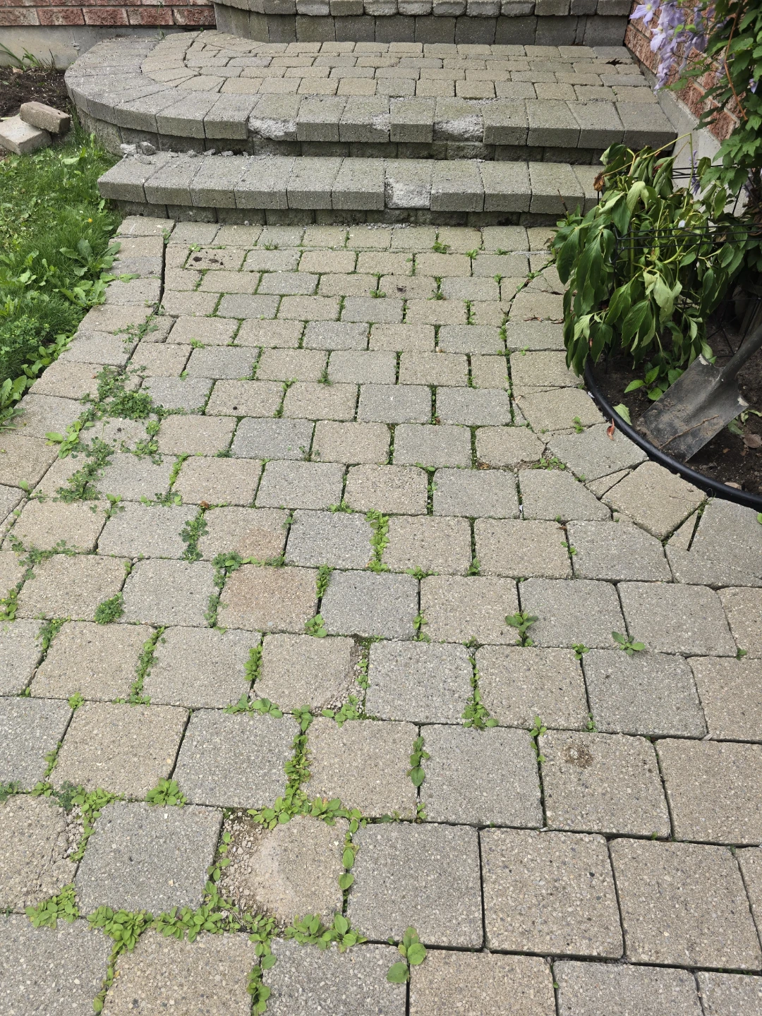 Interlocking Paver Walkway