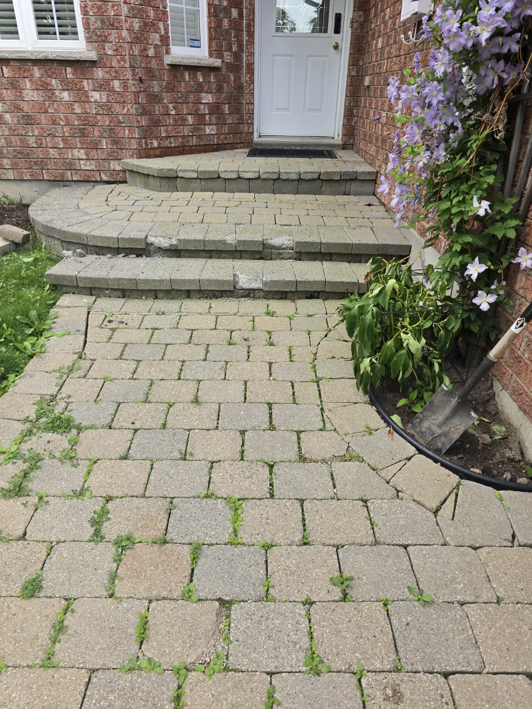 Interlocking Paver Walkway - photo 2