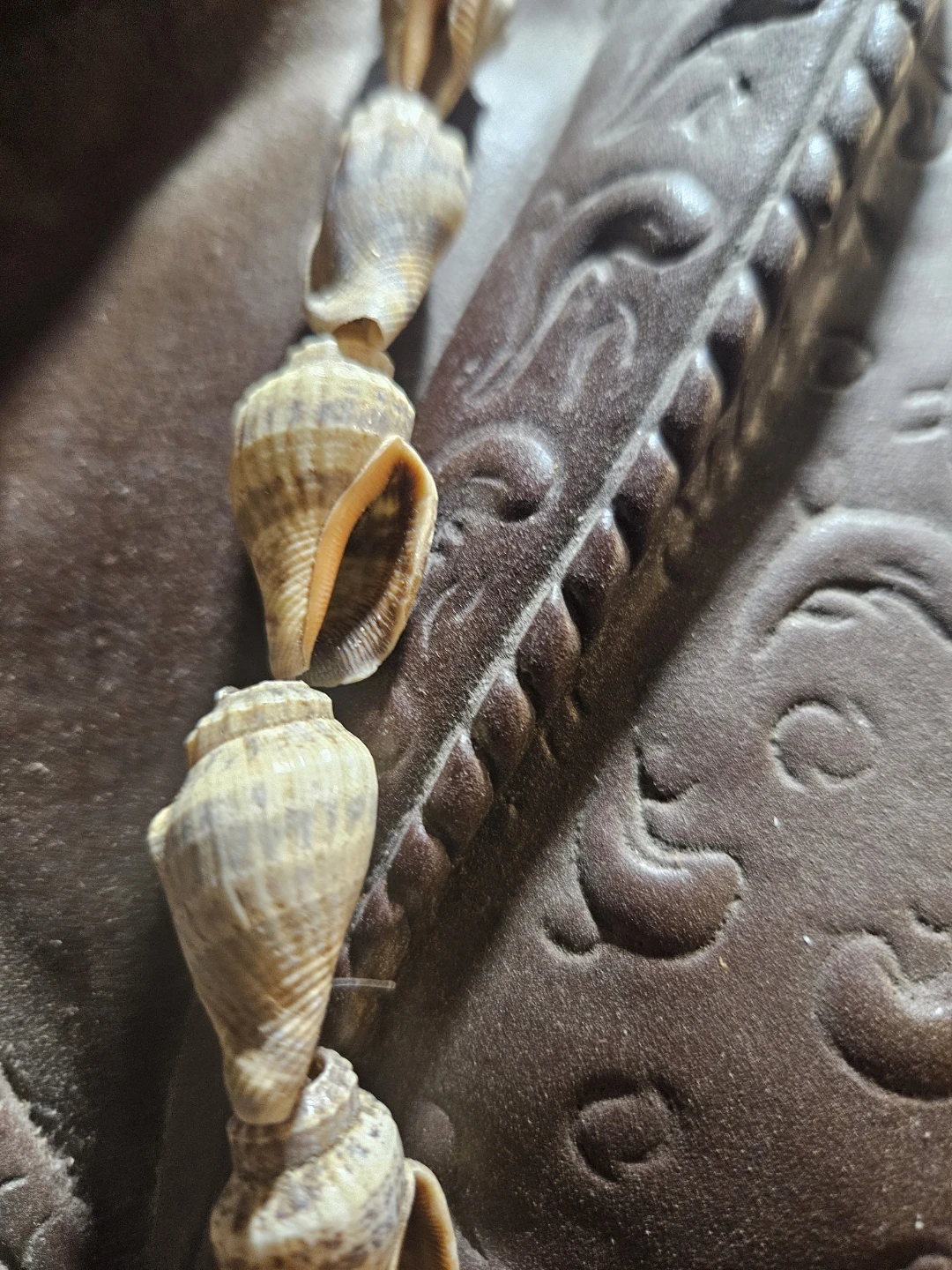 Seashell Necklace - photo 3