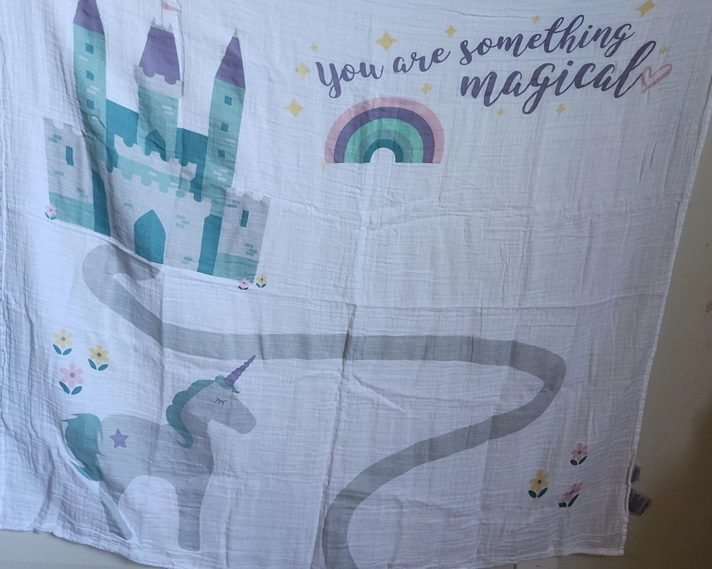 Baby's First year milestone cards and blanket - photo 4