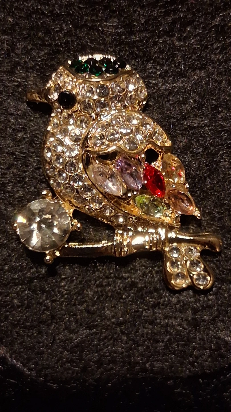 Birdie Brooch with Rhinestones - photo 2