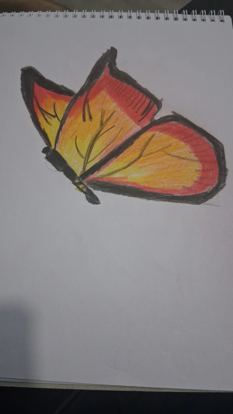 Hand-drawn butterfly art