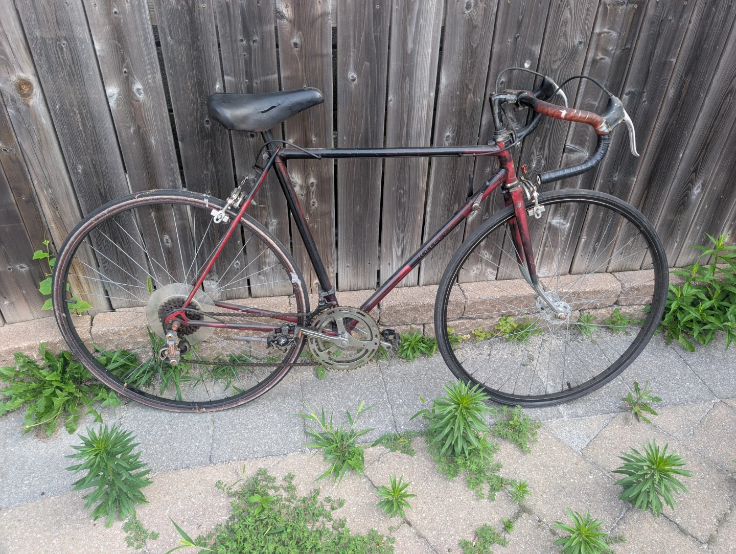 Vintage Road Bicycle - good for someone 5'7-6'1