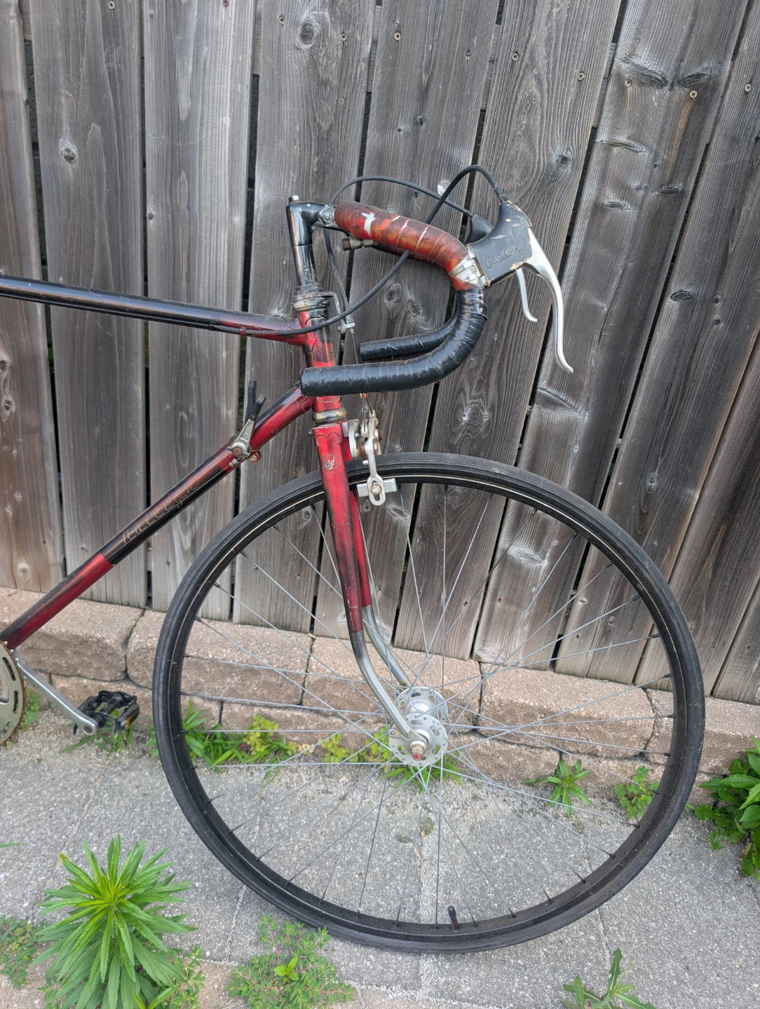 Vintage Road Bicycle - good for someone 5'7-6'1 - photo 2