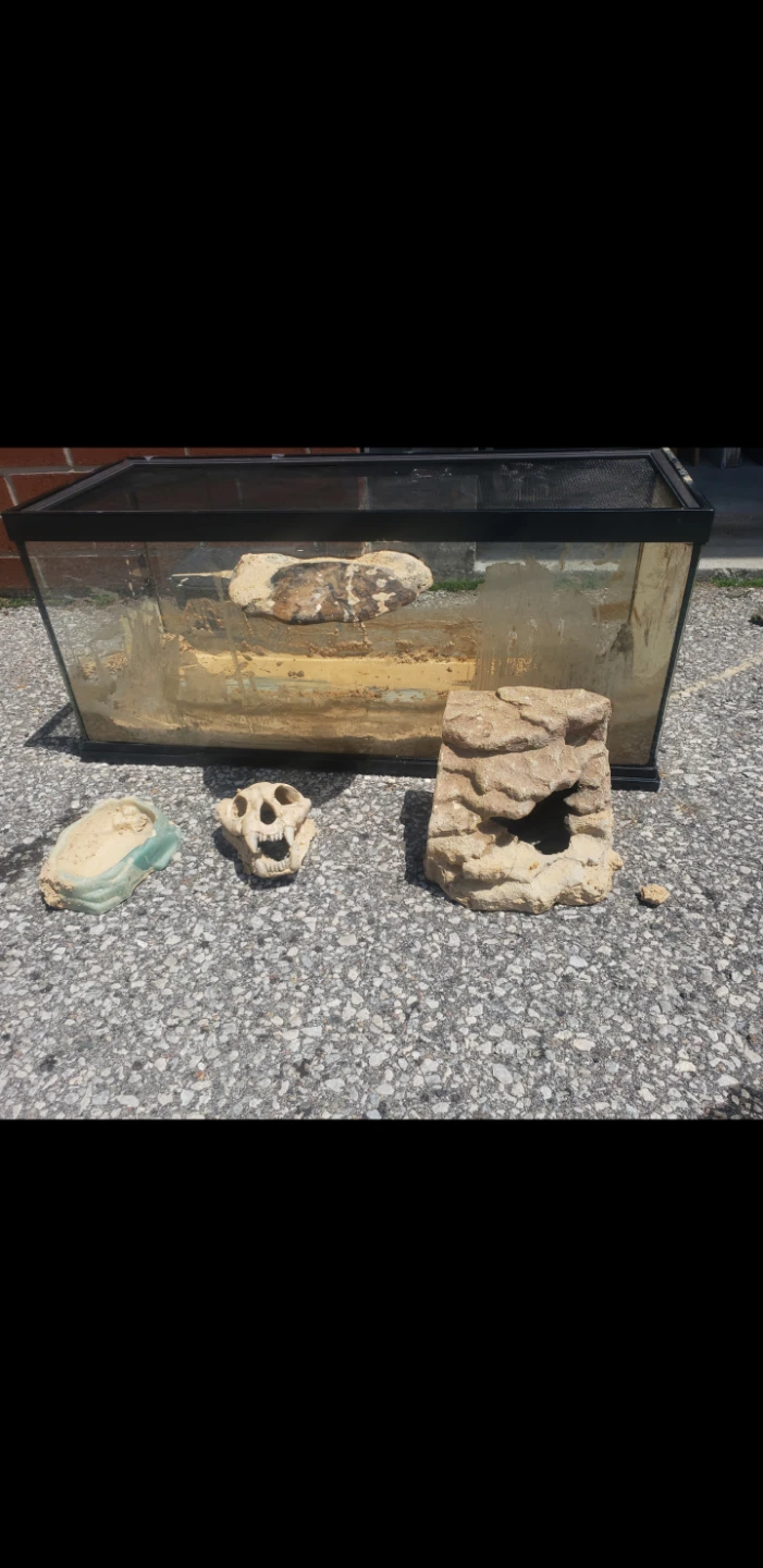 Terrarium Tank with Decor