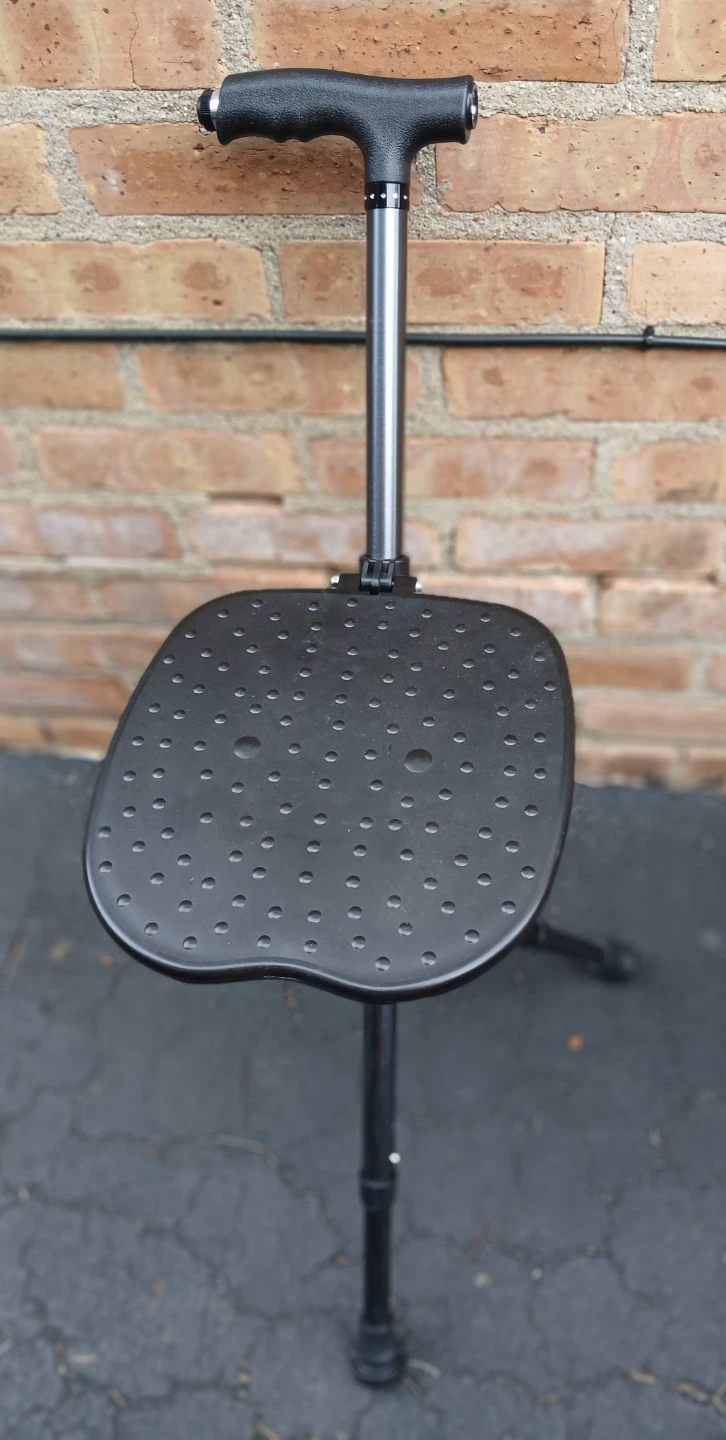 Walking cane/stool