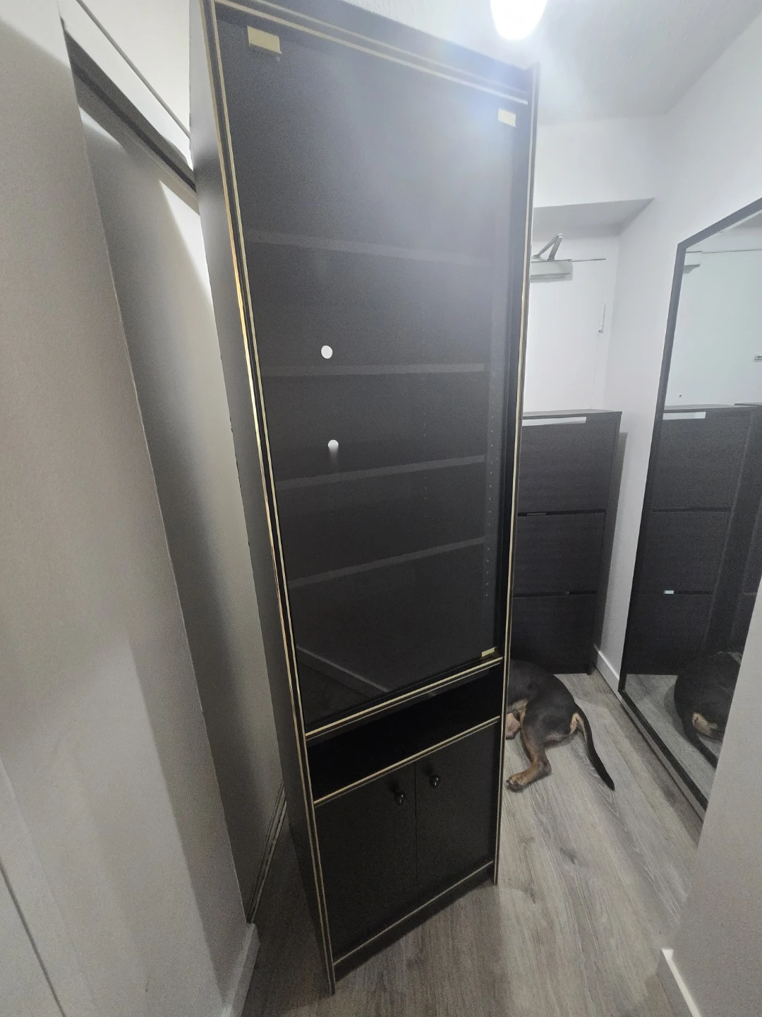 Black Display Cabinet with Glass Door - photo 2