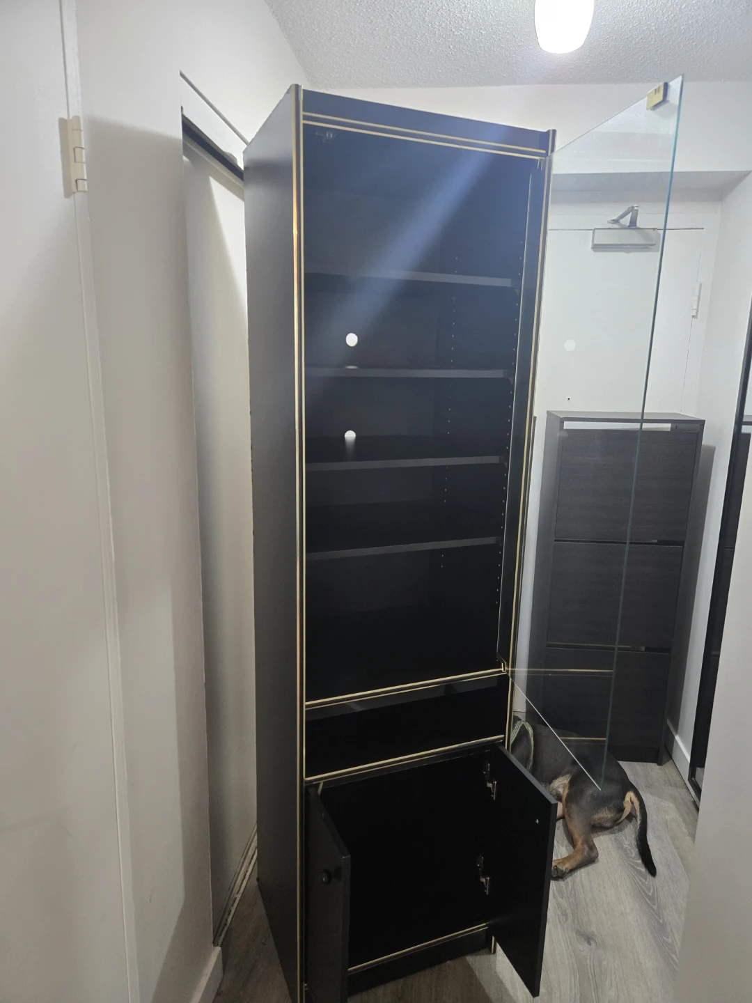 Black Display Cabinet with Glass Door - photo 3
