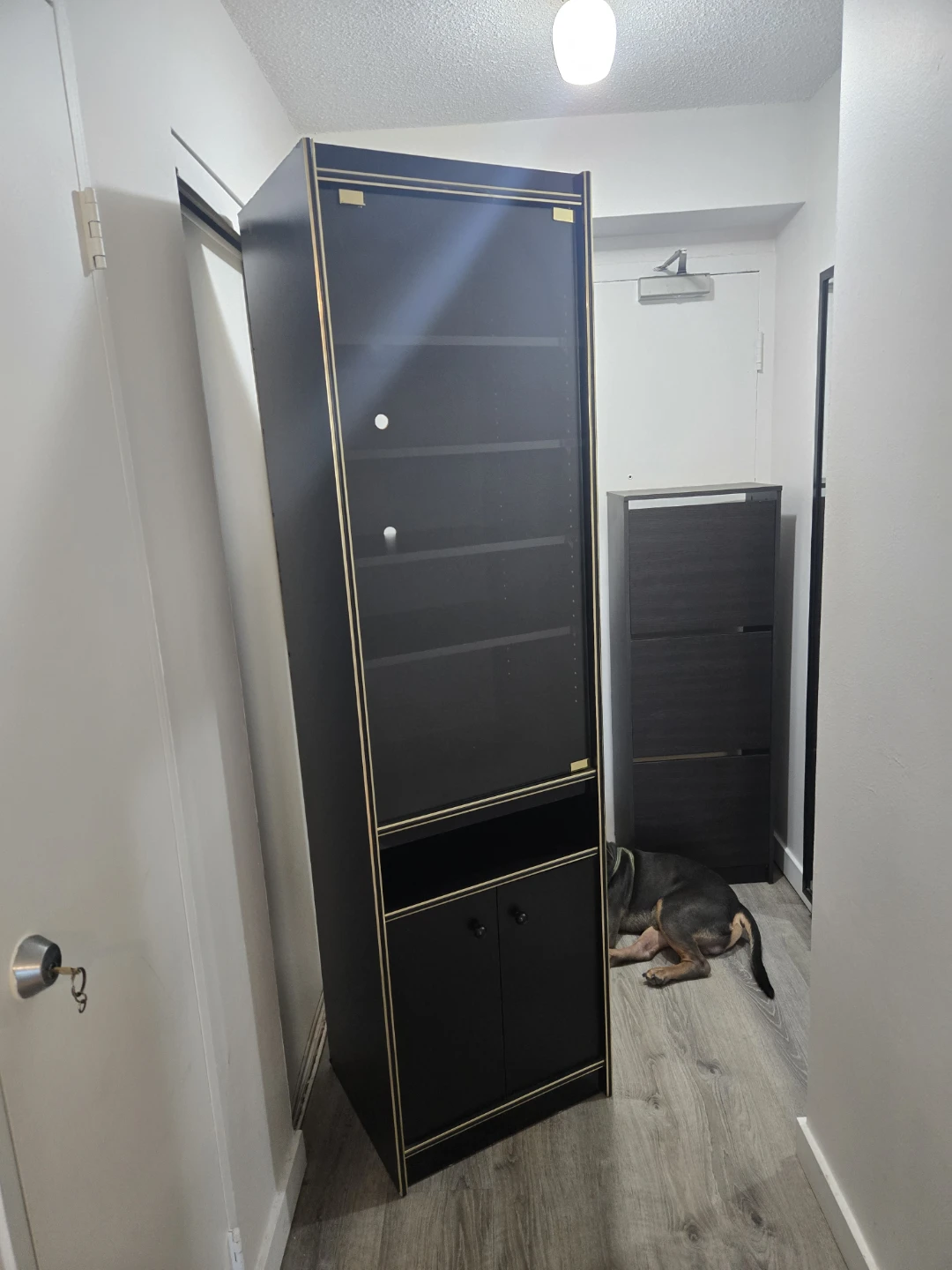 Black Display Cabinet with Glass Door - photo 4